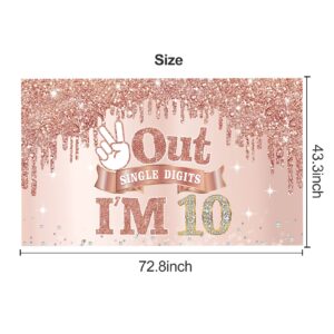 Large 10 Years Old Birthday Banner Decorations for Girls, Pink Rose Gold 10th Birthday Backdrop Party Supplies, Out Single Digits I'm 10 Bday Poster Background Sign Decor