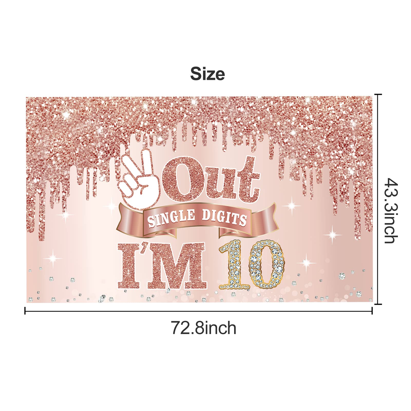 Large 10 Years Old Birthday Banner Decorations for Girls, Pink Rose Gold 10th Birthday Backdrop Party Supplies, Out Single Digits I'm 10 Bday Poster Background Sign Decor