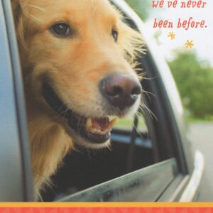 Heartline Golden Retriever Happy Birthday Card - Every Day is a Place We've Never Been Before - Hope Today You Enjoy Looking Back on All Your Achievements and Looking Forward to Many New Adventures