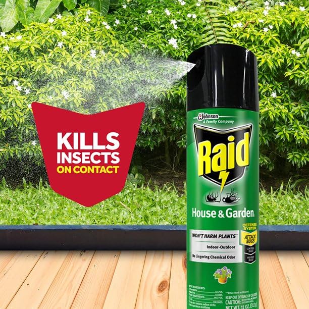 Raid House & Garden Insect Killer Spray, Orange Scent 11 Ounce (Pack of 2)