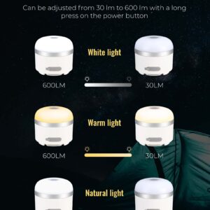 Wildley 600LM Camping Lights, 5 Light Modes Camping Lantern Rechargeable with 3600 mAh Power Bank,Camping Essentials for Tent Emergency, Outdoor Hiking, Power Outages (White)