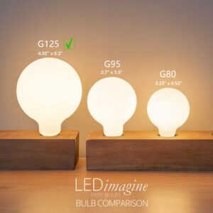 MYEMITTING 2 Pack G40/G125 Globe LED Bulb, Warm White 2700K Dimmable LED Globe Bulb, 5W Equivalent 40W LED Globe Light Bulbs, CRI 90+, Milky Glass, LED Bulb for Bathroom Vanity Mirror, E26 Base