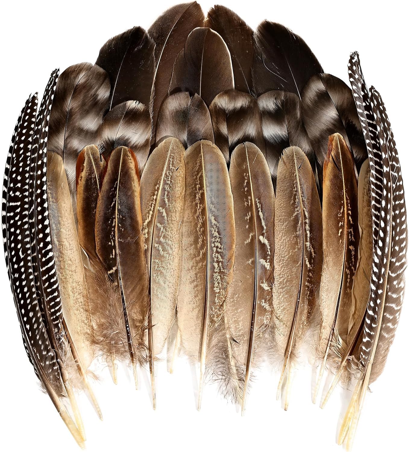 THARAHT 24pcs 4Style Natural Spotted Feathers Guinea Fowl Wing Feathers 6-8 inch Bulk for Craft Clothing Jewelry DIY Decoration Guinea Fowl Wing Feathers