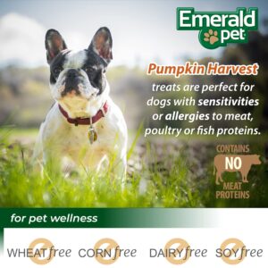 Emerald Pet Pumpkin Mini Trainers Dog Treats, 6 oz - Support Healthy Digestion, Allergen-Friendly, Vegetarian, Low-Fat, Grain Free, Made in USA