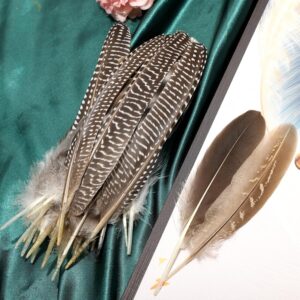 THARAHT 24pcs 4Style Natural Spotted Feathers Guinea Fowl Wing Feathers 6-8 inch Bulk for Craft Clothing Jewelry DIY Decoration Guinea Fowl Wing Feathers