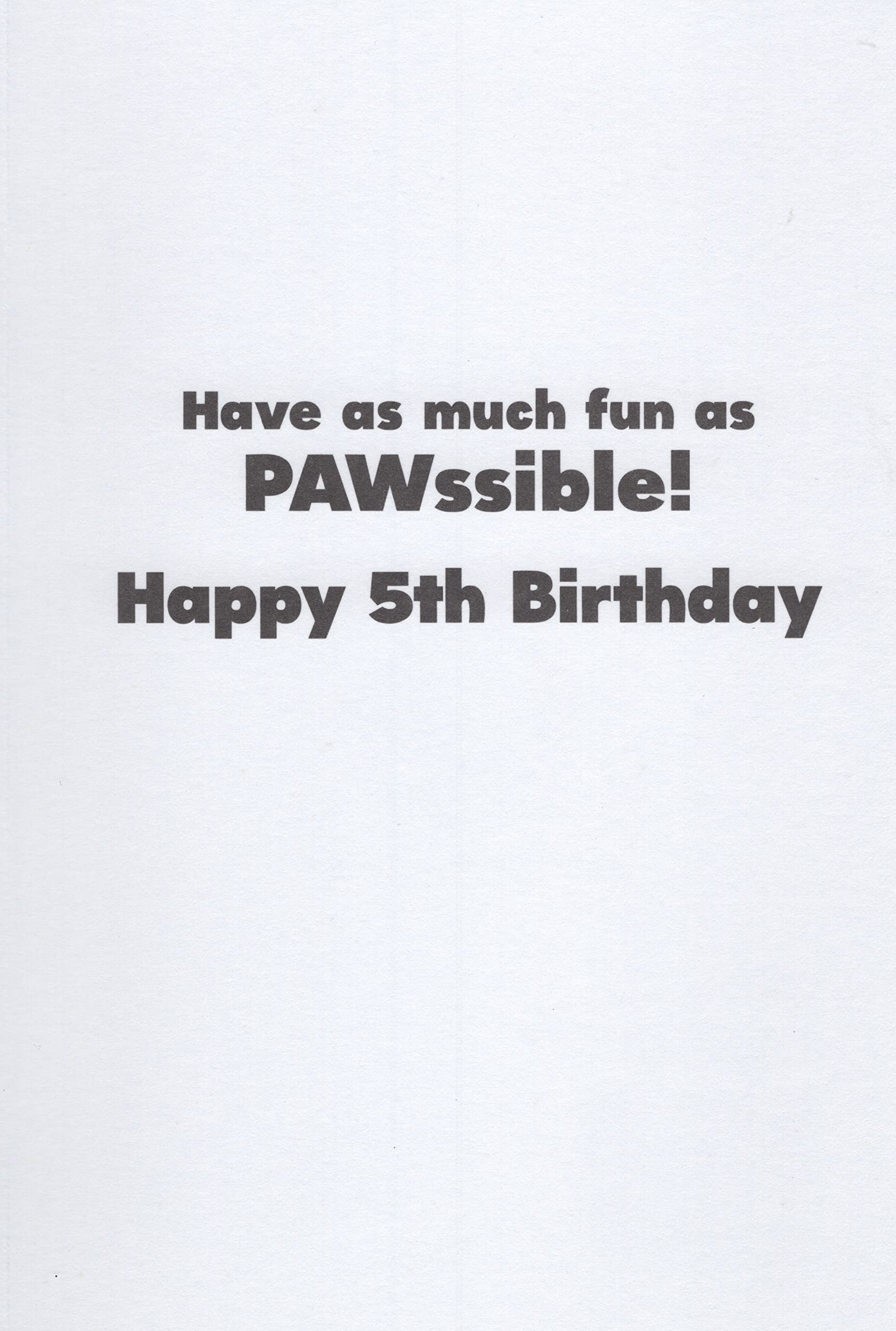 Paw Patrol Happy 5th Fifth Birthday Card (Age 5) Featuring Chase, Rubble, and Marshall - You're 5! And You Have a Mission... Have as Much Fun as PAWssible! Happy 5th Birthday!