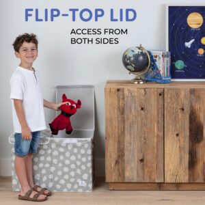 Toy Chest for Kids - Large Storage Chests with Detachable Organizer and Flip-Top Lid for Boys or Girls Nursery or Playroom Toys - Gray