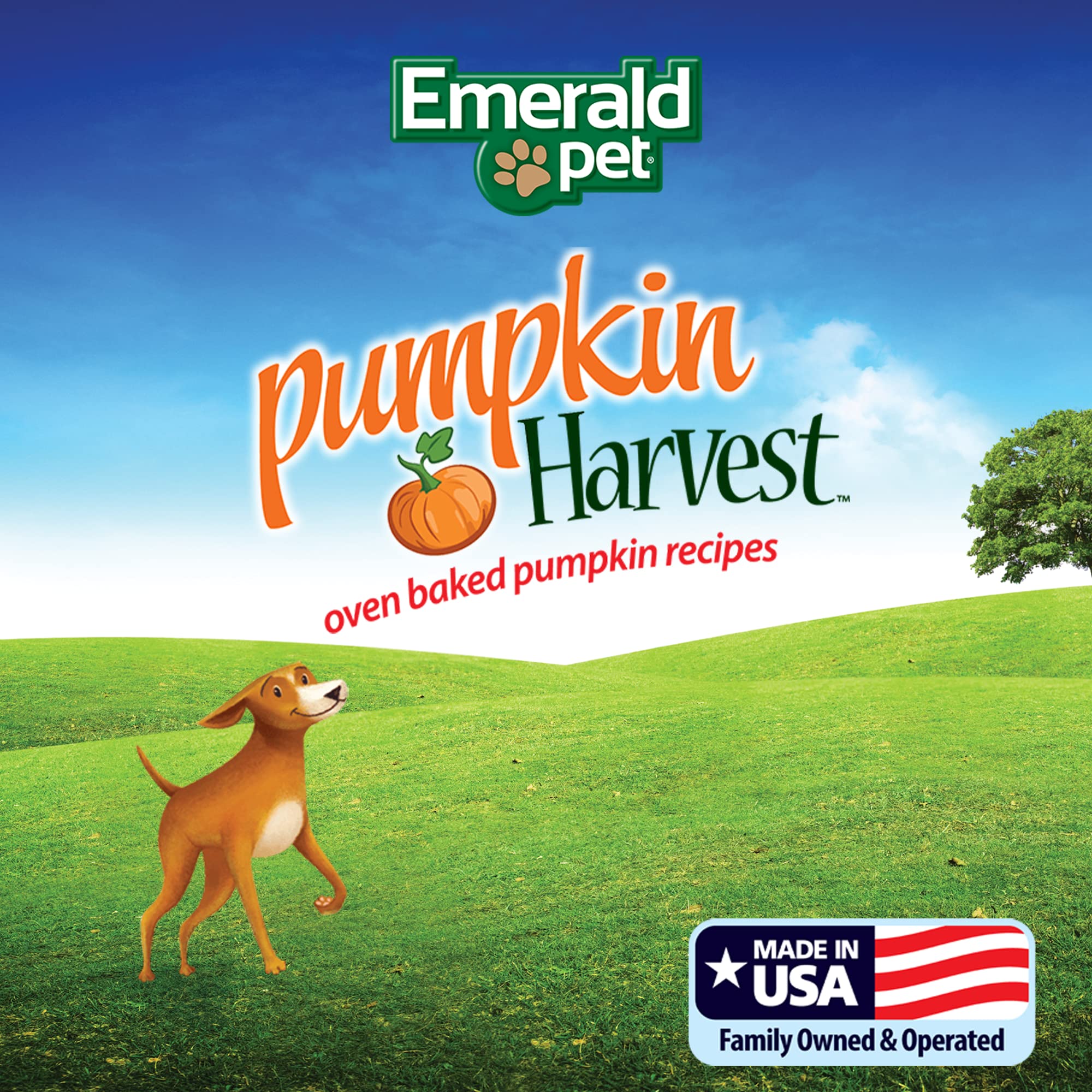 Emerald Pet Pumpkin Mini Trainers Dog Treats, 6 oz - Support Healthy Digestion, Allergen-Friendly, Vegetarian, Low-Fat, Grain Free, Made in USA