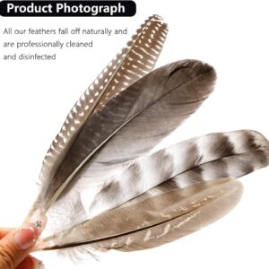 THARAHT 24pcs 4Style Natural Spotted Feathers Guinea Fowl Wing Feathers 6-8 inch Bulk for Craft Clothing Jewelry DIY Decoration Guinea Fowl Wing Feathers