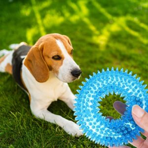 BLMHTWO 2PCS Dog Spiky Toy, Durable Squeaky Balls Chew Toy Rubber Puppy Dental Ring Dog Toy Pool Rings for Small Medium Dogs Indoor Outdoor Training Teeth Cleaning (Blue, Orange)