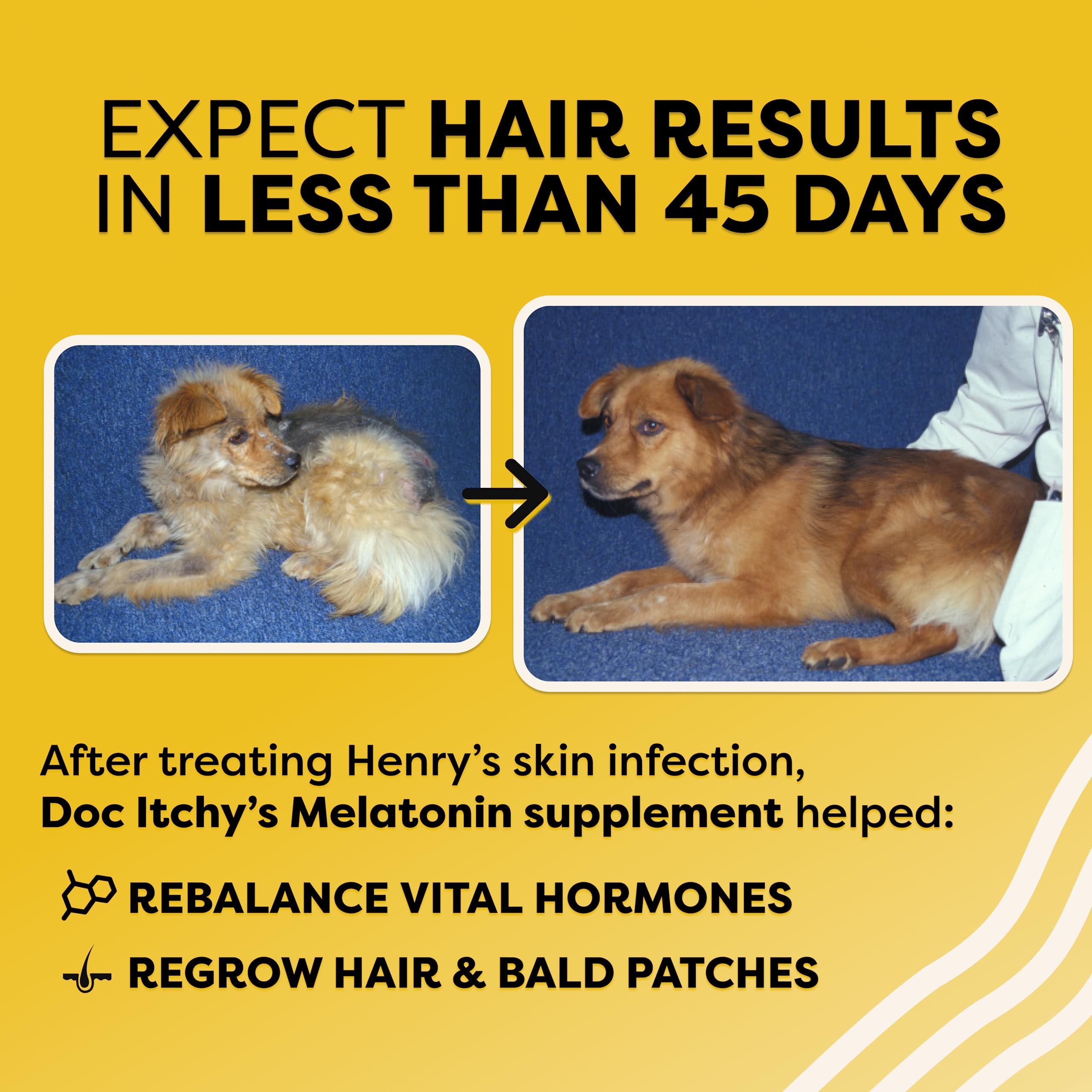 Doc Itchy Rejuvenating Hair-Grower Dog Pet Chews | Medical-Strength 10mg Melatonin | Hair Growth Booster | Senior Dog Energizer | Calming | Clinical High-Dose | Food Allergy Safe | Vegan | 90 Count