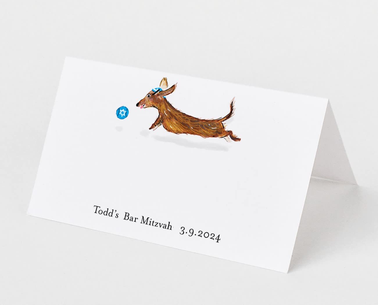 Personalized bar or bat mitzvah Place Cards with Dachshund wearing a yamaka. Folding table tent style. NO INDIVIDUAL NAMES (LEAPING WITH BLUE BALL)