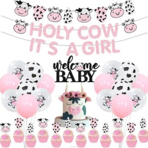 Cheereveal Cow Print Baby Shower Decorations Girl, Holy Cow It's a Girl Baby Shower Decorations, Pink Cow Garland, Welcome Baby Cake Toppers for Farm Animal Floral Girl Baby Shower Party Decoration