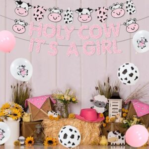 Cheereveal Cow Print Baby Shower Decorations Girl, Holy Cow It's a Girl Baby Shower Decorations, Pink Cow Garland, Welcome Baby Cake Toppers for Farm Animal Floral Girl Baby Shower Party Decoration