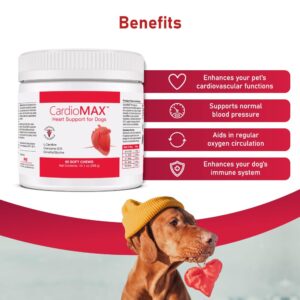 CardioMAX Heart Support Supplement for Dogs - L-Taurine, L-Carnitine, EPA & DHA, Coenzyme Q10 - Aids Circulatory Strength, Cardiovascular Support, Heart Muscle Function - Made in USA - 360 Soft Chews