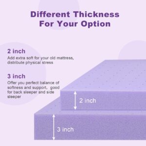 BedsPick Mattress Topper Twin XL Memory Foam, Gel Mattresses Pad Extra Long Twin for Back Pain Relief, 2 Inch Plush College Dorm Bed Cushion for RV, Camp, Couch and Hospital, Purple