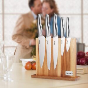 Hecef 6 Piece Kitchen Knife Block Set,All Metal Construction Hollow Handle Tapper Ground Knives & Double Sided Magnet Wood Knife Block