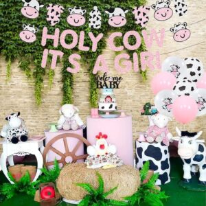 Cheereveal Cow Print Baby Shower Decorations Girl, Holy Cow It's a Girl Baby Shower Decorations, Pink Cow Garland, Welcome Baby Cake Toppers for Farm Animal Floral Girl Baby Shower Party Decoration