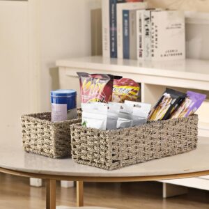 Vagusicc 2-Section Wicker Storage Basket, Hand-Woven Seagrass Baskets, Toilet Tank Basket, Small Wicker Baskets for Organizing, 2-Pack