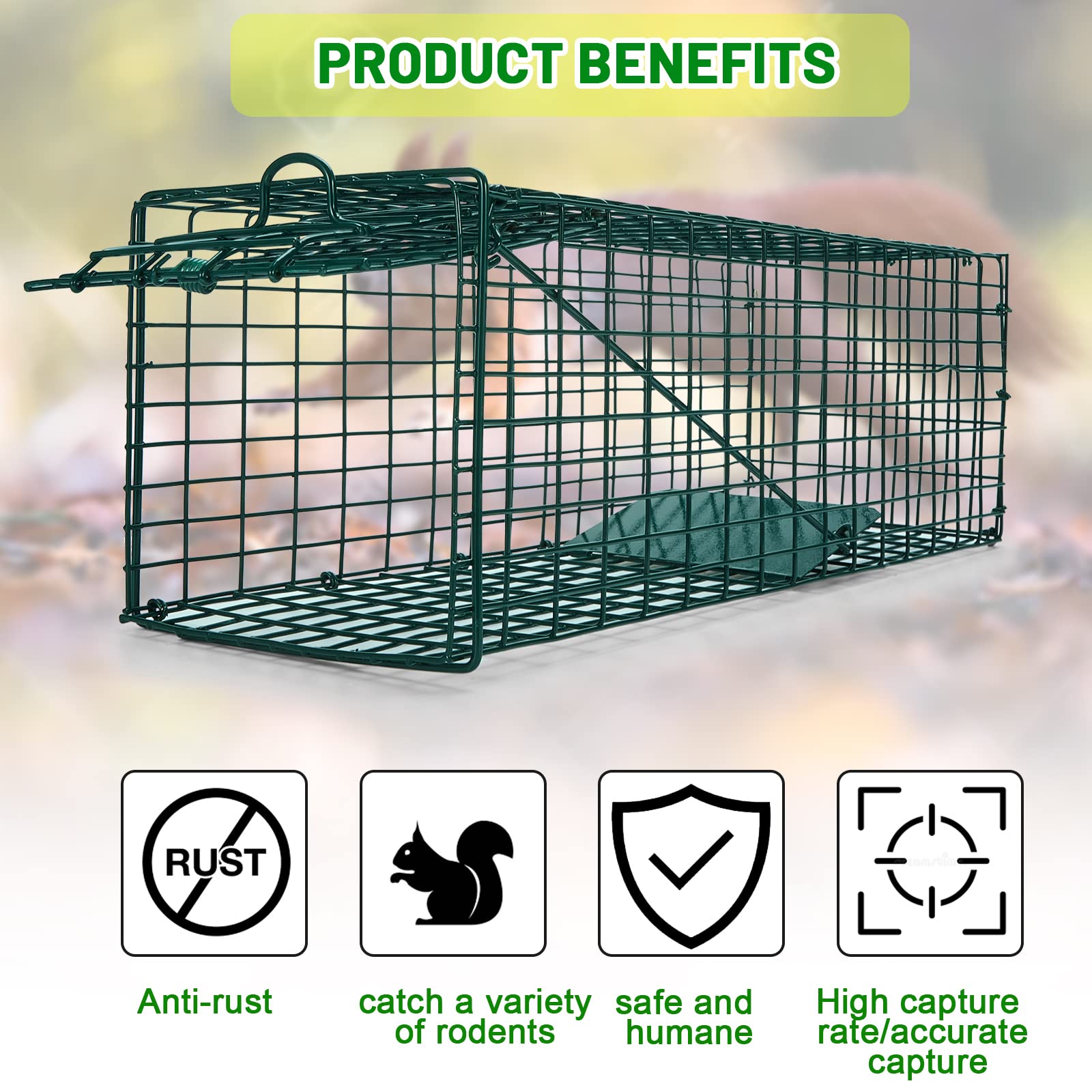 Qualirey 2 Pcs Humane Squirrel Trap Heavy Duty Live Animal Chipmunk Trap Catch and Release Rat Trap for Outdoor Small Animals Mouse Raccoon Stray Cat Rodent Weasels (16 x 5 x 5 Inch)