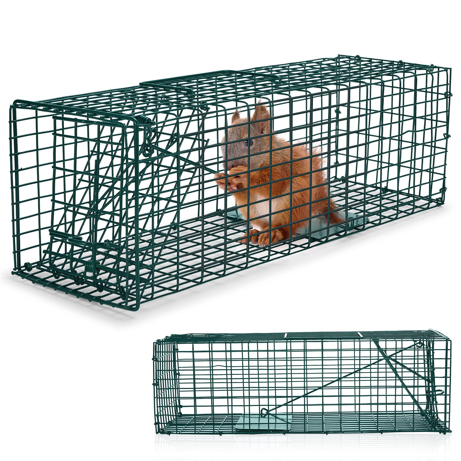 Qualirey 2 Pcs Humane Squirrel Trap Heavy Duty Live Animal Chipmunk Trap Catch and Release Rat Trap for Outdoor Small Animals Mouse Raccoon Stray Cat Rodent Weasels (16 x 5 x 5 Inch)