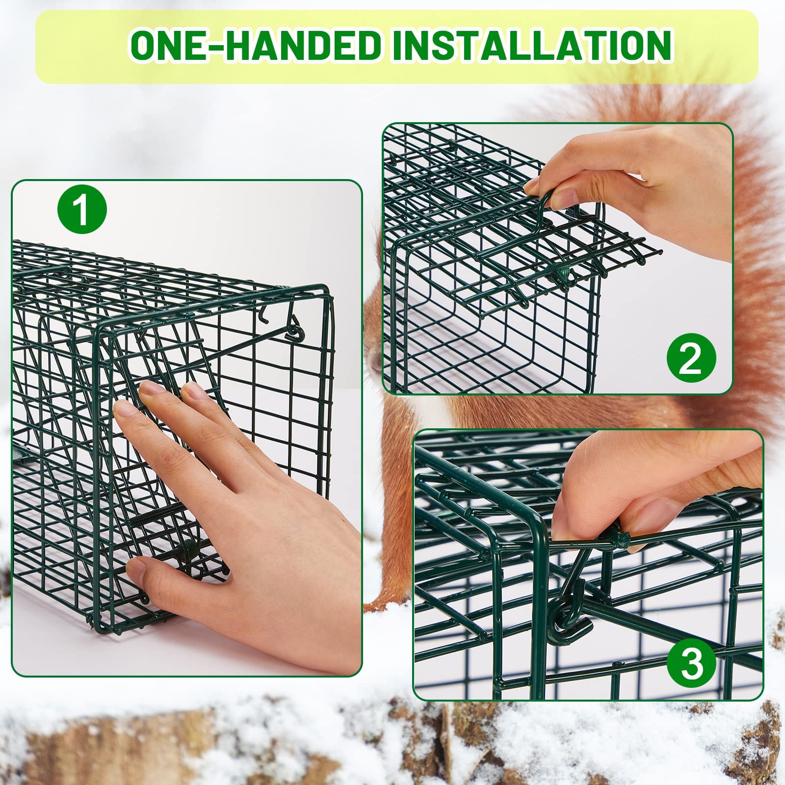 Qualirey 2 Pcs Humane Squirrel Trap Heavy Duty Live Animal Chipmunk Trap Catch and Release Rat Trap for Outdoor Small Animals Mouse Raccoon Stray Cat Rodent Weasels (16 x 5 x 5 Inch)