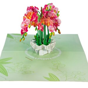 WOWPAPERART Orchid Flower - 3D Pop Up Greeting Card For All Occasions - Love, Birthday, Christmas - Blank Inside for Personalized - Thick Envelope - 5x7 In