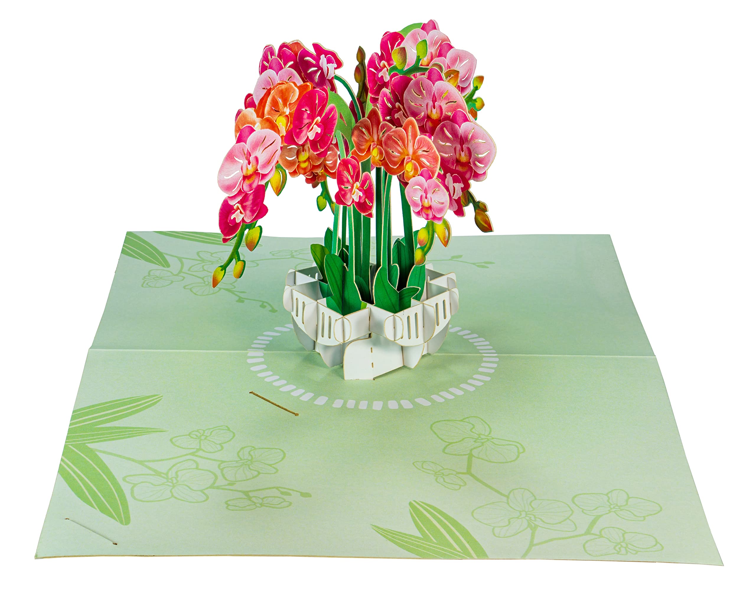 WOWPAPERART Orchid Flower - 3D Pop Up Greeting Card For All Occasions - Love, Birthday, Christmas - Blank Inside for Personalized - Thick Envelope - 5x7 In