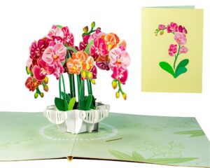 wowpaperart orchid flower - 3d pop up greeting card for all occasions - love, birthday, christmas - blank inside for personalized - thick envelope - 5x7 in