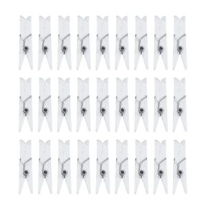 gshllo 50 pcs clear plastic photo display clips clothes pins paper pegs craft clips spring hanging clips clamps for home crafts decor