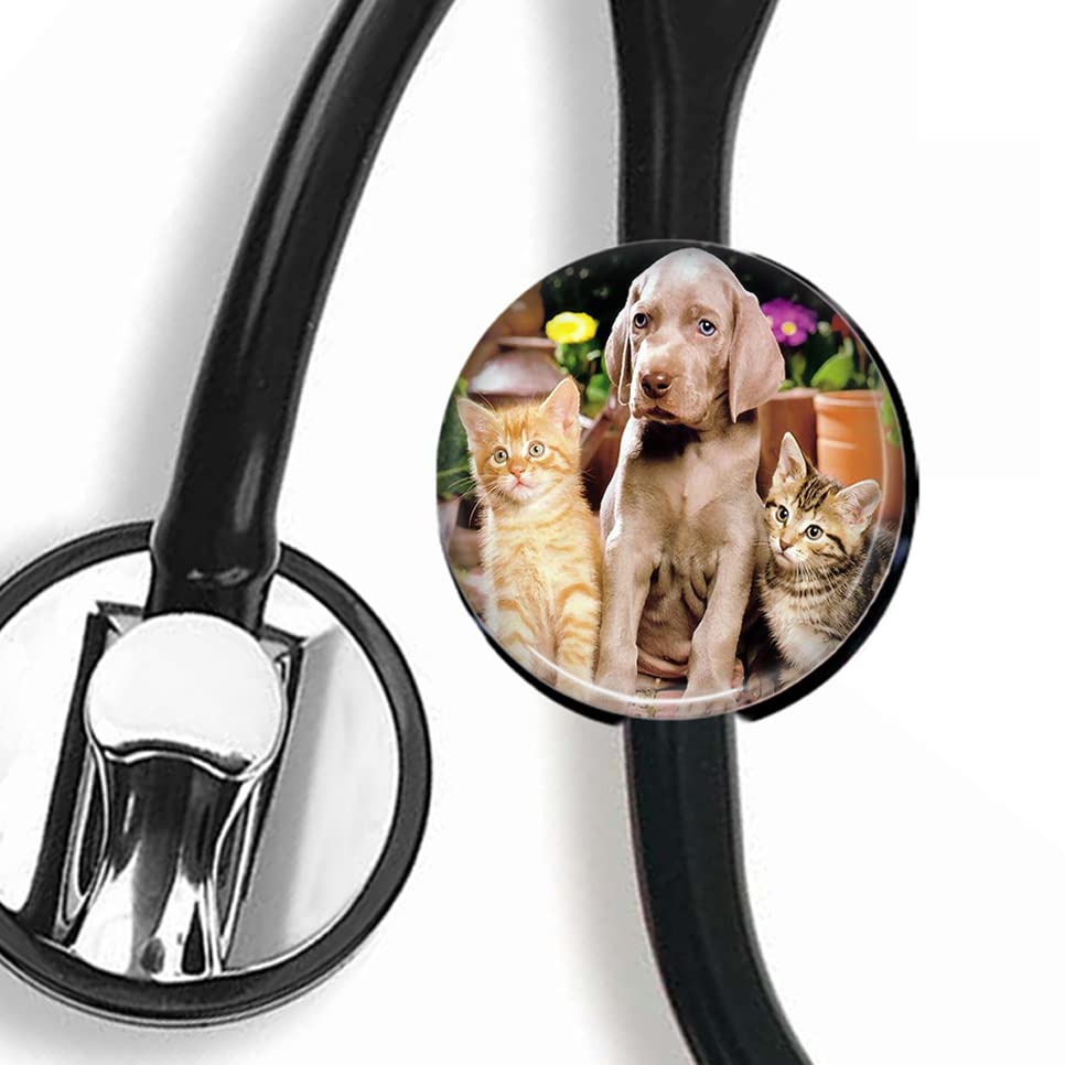 CHNLML Stethoscope Name Tag Nurse Doctor Stethoscope ID Tag Customized Steth ID Tag (Labrador Puppy with Cats)