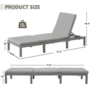 vonGarten Chaise Lounge Ourdoor,Tanning Chair with 5 Adjustable Backrest, Patio Lounge Chair for Outside Poolside Beach Pool Grey