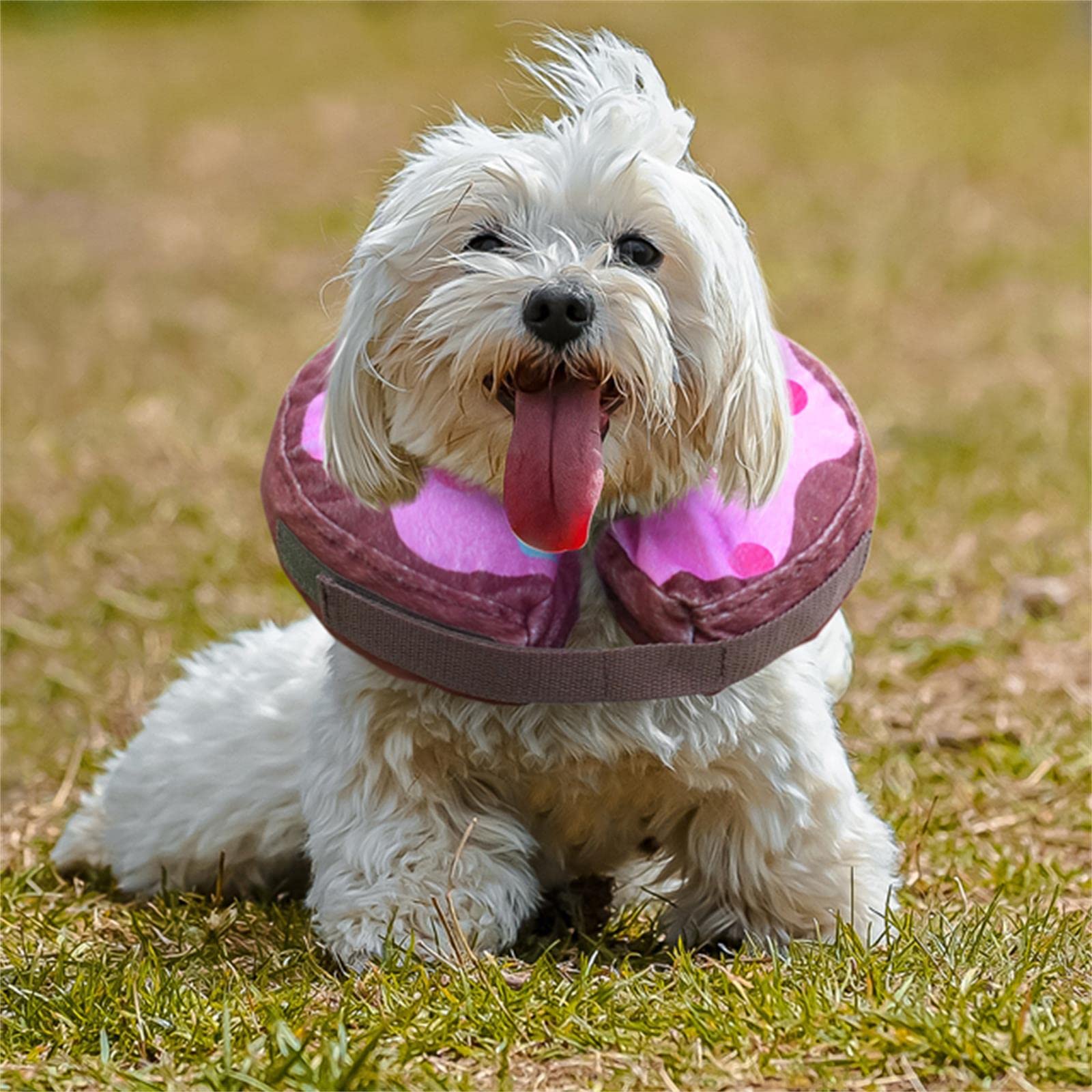 Inflatable Cone Collar for Dogs and Cats - Soft Pet Recovery Collar Does Not Block Vision E-Collar (Small, Pink)