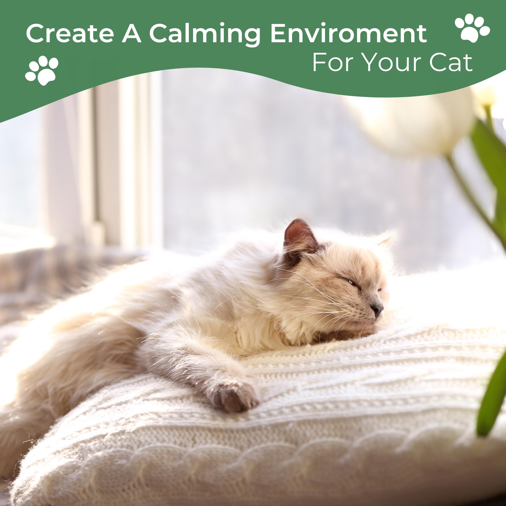 Daintry Cat Calming Diffuser with Feline Pheromones, Sunflower Scent, Stress & Anxiety Relief for Cats, 30-Day 2 x 48 ml Refills, Easy Plug-in Solution for Calming. Diffuser not Include