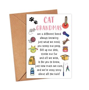 cat grandma mother's day card - cat grandma card - pet cat toys card - cards for cat lovers - mother's day card - happy birthday grandma - cute cat grandma card - grandma love cats - greeting card