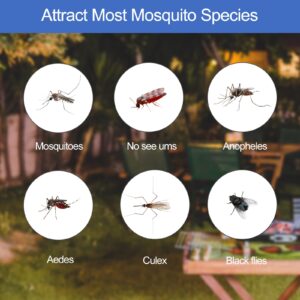 Octenol Mosquito Attractant for Bug Zapper 3 Pack - Effective Mosquito Lure for Indoor and Outdoor Use - Compatible with Major Fly Traps & Insect Killer Device.