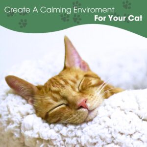 Daintry Cat Calming Diffuser with Feline Pheromones, Sunflower Scent, Stress & Anxiety Relief for Cats, 30-Day 2 x 48 ml Refills, Easy Plug-in Solution for Calming. Diffuser not Include