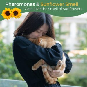 Daintry Cat Calming Pheromone Diffuser with.a Sunflower Smell Starter Kit: Reduces Multi-cat Tension, Conflict, Anxiety, and unwanted Behavior. Perfect for a Peaceful Environment.