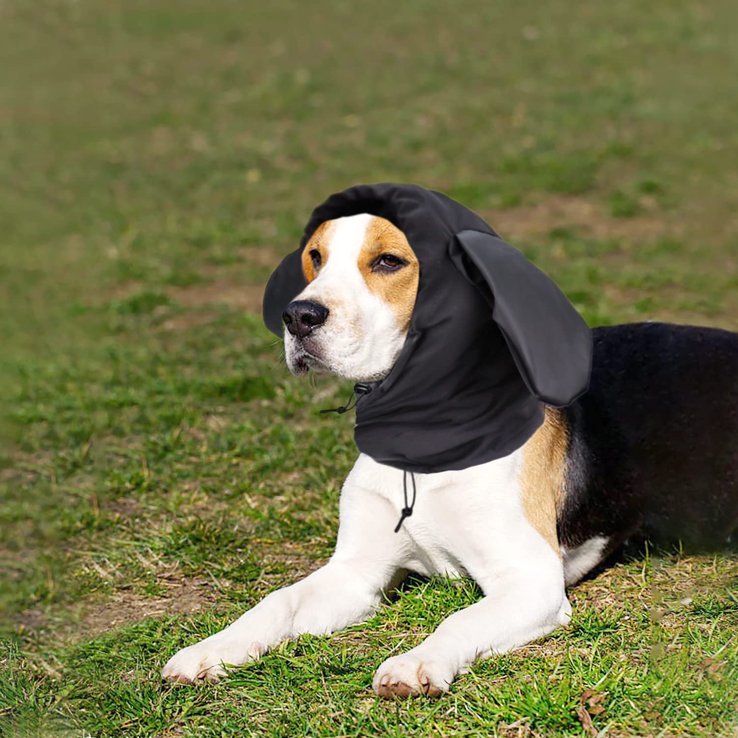 Dogs Ear Protectors Dog Long Ears Snood Walking Ear Cover for Cocker Springer Spaniel Longeared Dogs Prevent Grass Seeds Sand Foxtails