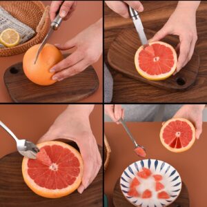 Grapefruit knife & Grapefruit Spoons, Grapefruit Utensil 3 Pieces Set, Stainless Steel Serrated Edges Grapefruit Knife and Spoon, Dishwasher Safe & Kitchen Utensils (Silver)