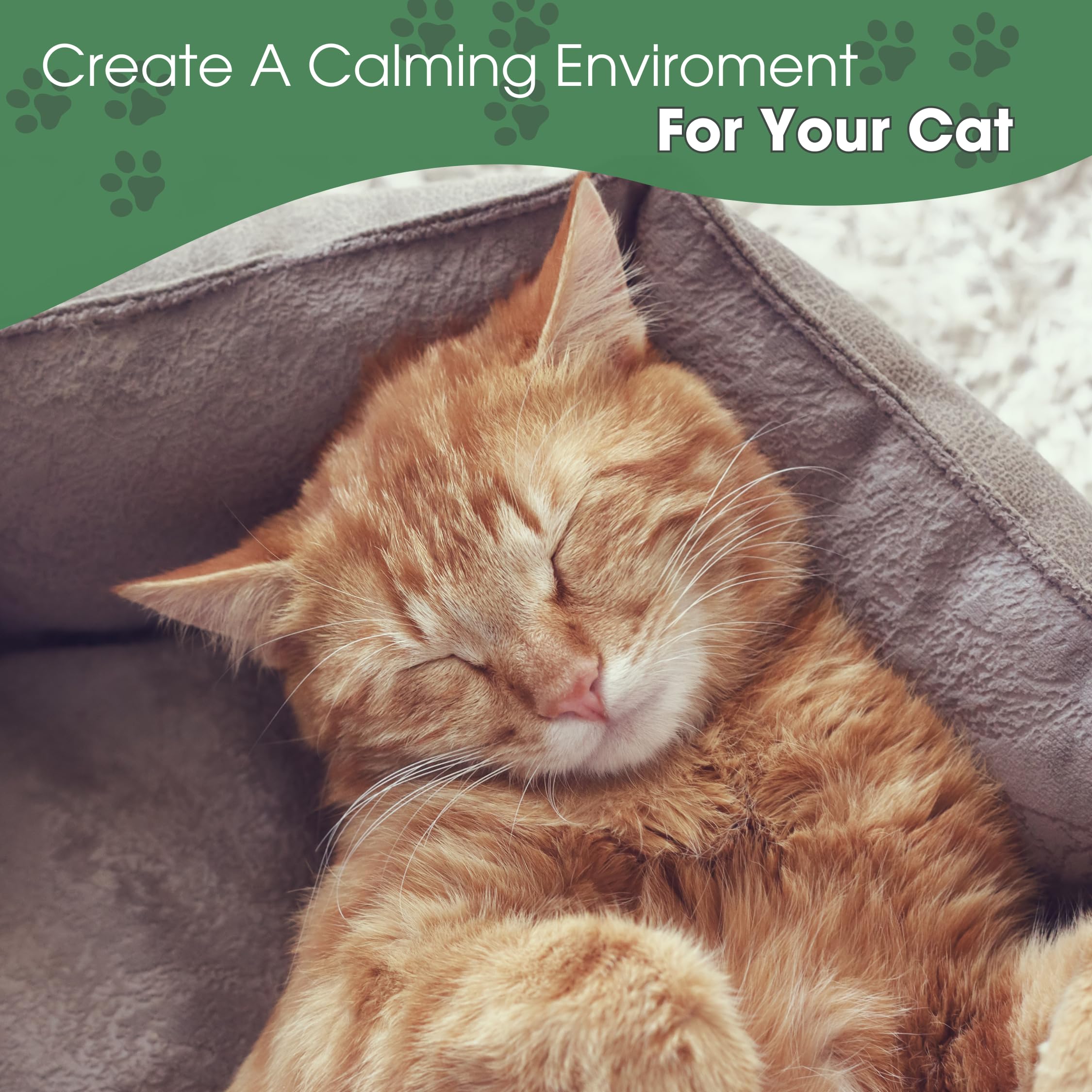 Daintry Cat Calming Pheromone Diffuser with.a Sunflower Smell Starter Kit: Reduces Multi-cat Tension, Conflict, Anxiety, and unwanted Behavior. Perfect for a Peaceful Environment.