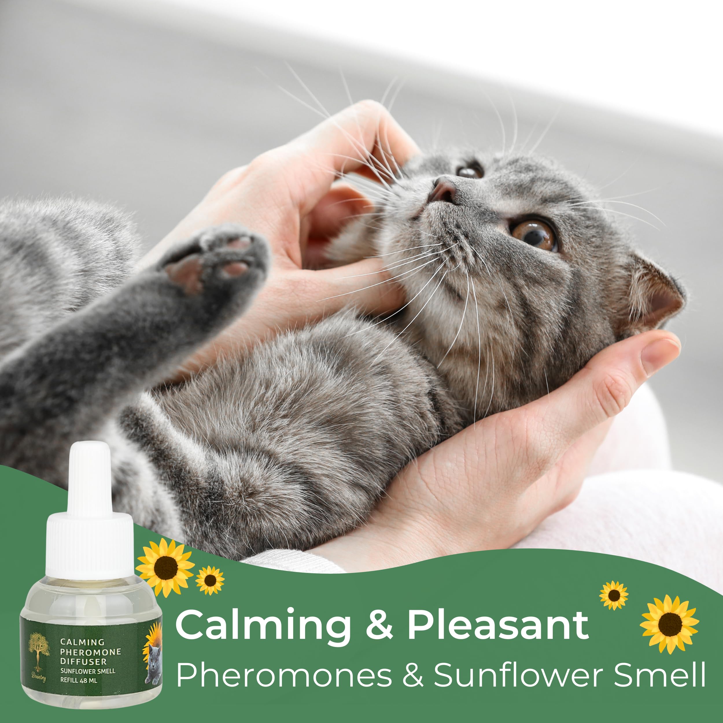 Daintry Cat Calming Pheromone Diffuser with.a Sunflower Smell Starter Kit: Reduces Multi-cat Tension, Conflict, Anxiety, and unwanted Behavior. Perfect for a Peaceful Environment.