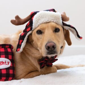 Huxley & Kent Pet Hat | Antler Buffalo Check (Extra-Large) | Festive Christmas Holiday Accessory for Dogs/Cats | Holiday Pet Hat | SnugFit Sliding Toggles for Best Fit