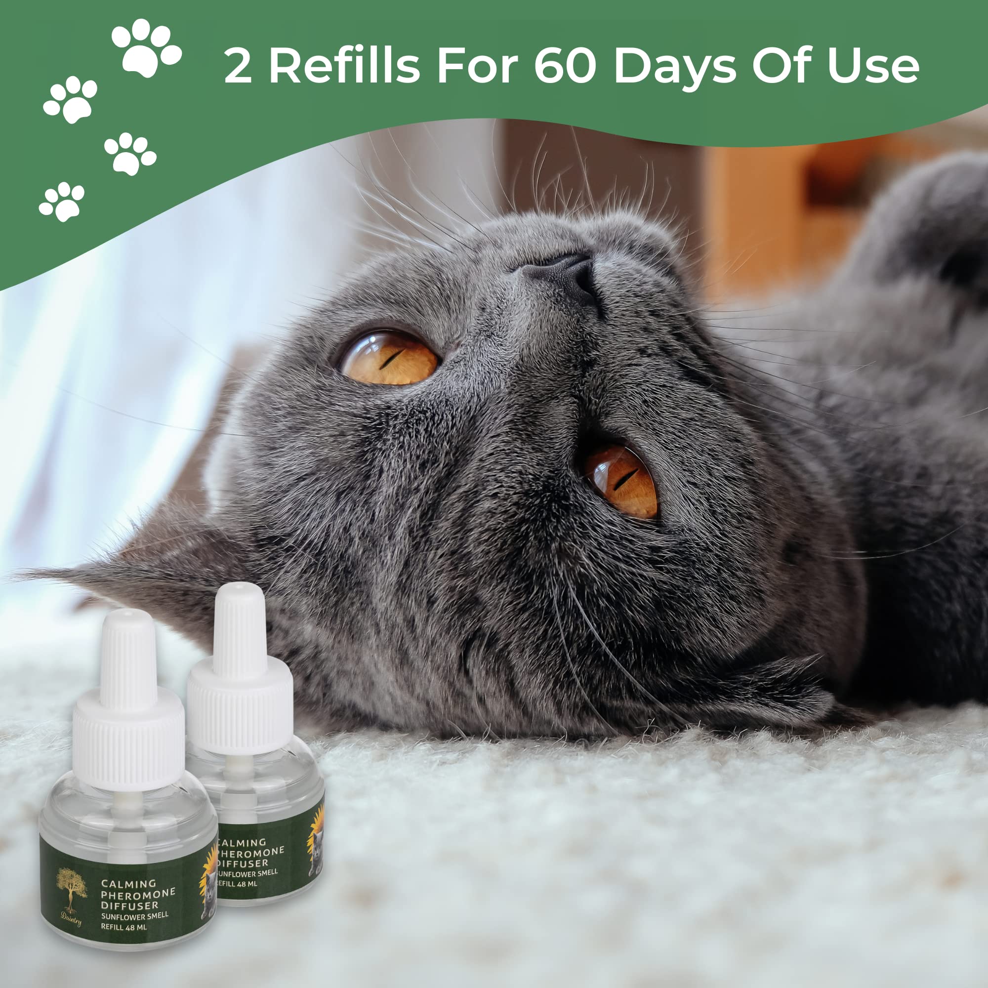 Daintry Cat Calming Diffuser with Feline Pheromones, Sunflower Scent, Stress & Anxiety Relief for Cats, 30-Day 2 x 48 ml Refills, Easy Plug-in Solution for Calming. Diffuser not Include