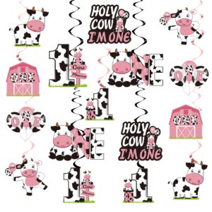 holy cow im one birthday decorations hanging swirl for baby girl, pink cow first birthday foil swirls party supplies, baby 1st bday cow theme ceiling hanging sign