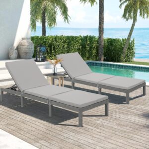 vonGarten Chaise Lounge Ourdoor,Tanning Chair with 5 Adjustable Backrest, Patio Lounge Chair for Outside Poolside Beach Pool Grey