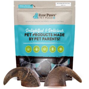 raw paws water buffalo horns for dogs, small 5-ct - natural bull horns for dogs - dog bones for aggressive chewers - dog chew horn - dog horn chew for small dogs - horn dog chew for puppies