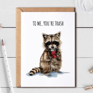 EruditeGifts To Me You're Trash - Funny Birthday Card - Birthday Card For Friend - Birthday Card For Him Or Her - Toronto Card - Funny Raccoon Card