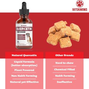 Quercetin for Dogs | Dog Allergy Relief | Quercetin for Dogs Allergies | Dog Allergy | Quercetin | Dog Allergy Support | Quercetin Dog | Dog Allergies | Quercetin Supplements | Bacon Flavor (1 Pack)