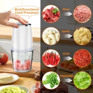 Electric Food Chopper with 2.5 Cup Glass Bowl, Mini Food Processor for Vegetables Meat Fruits Nuts Puree - 2 Speed Kitchen Food Processor With Sharp Blades, 300W